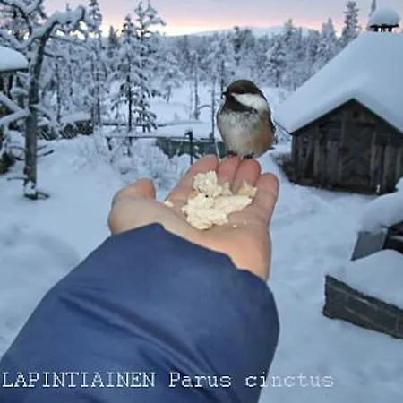 Kuukkelitupa By Interhome *