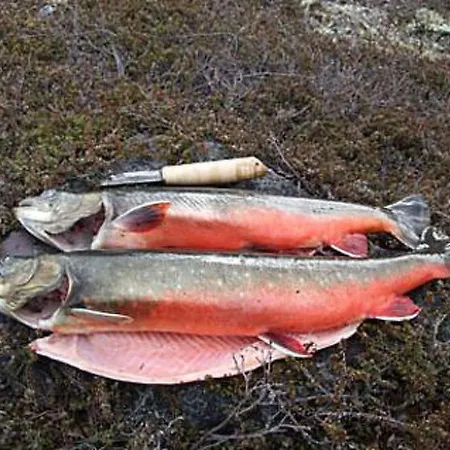 Kuukkelitupa By Interhome Loma-asunnot *