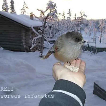 Vakantiehuis Kuukkelitupa By Interhome *